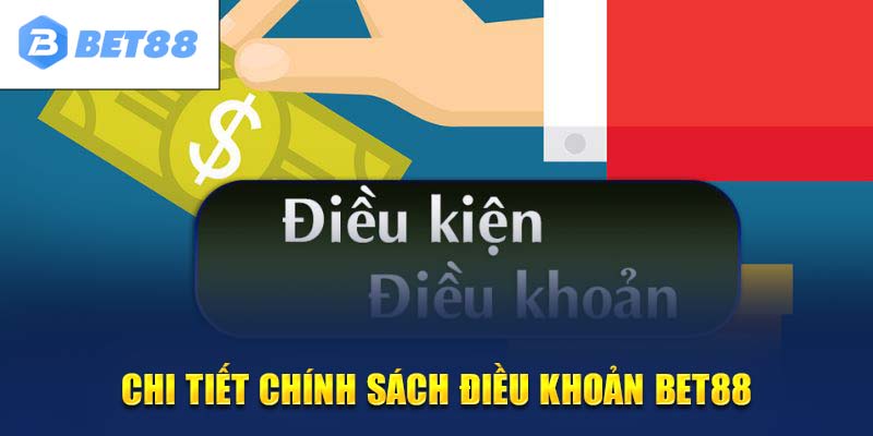 Nội dung trong chính sách điều khoản điều kiện nhà cái